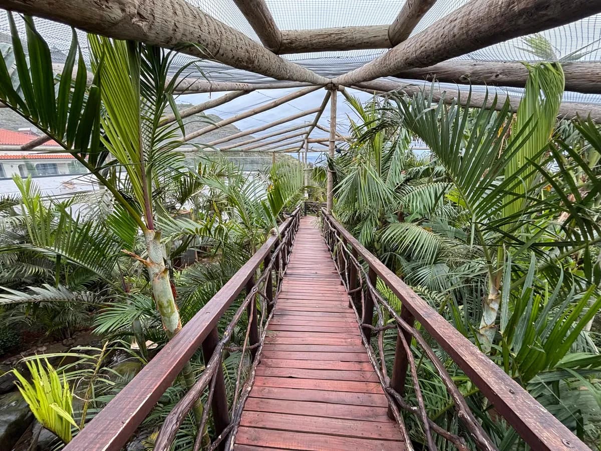 Wooden walkway winding through the palm-filled aviary at Ilha das Aves