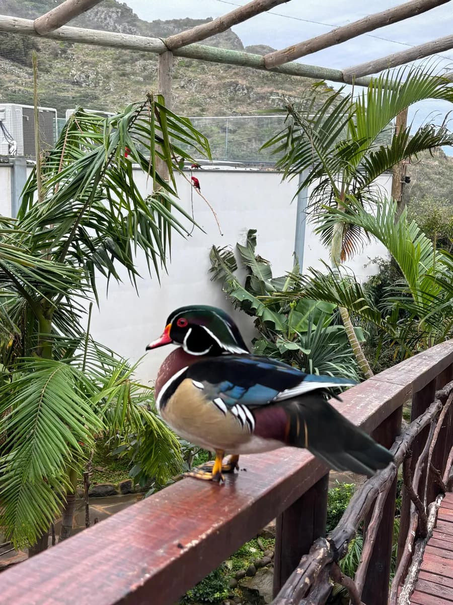 Exotic Birds & Valleys 4x4 Expedition