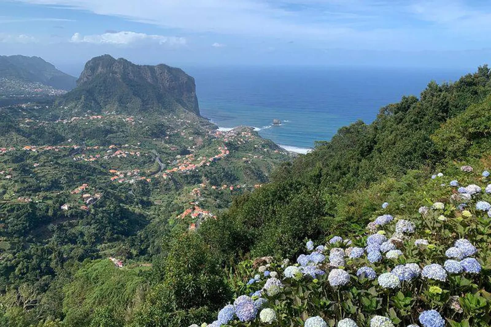 Penha de Águia (Eagle Rock) and the coast framed by blue hydrangeas