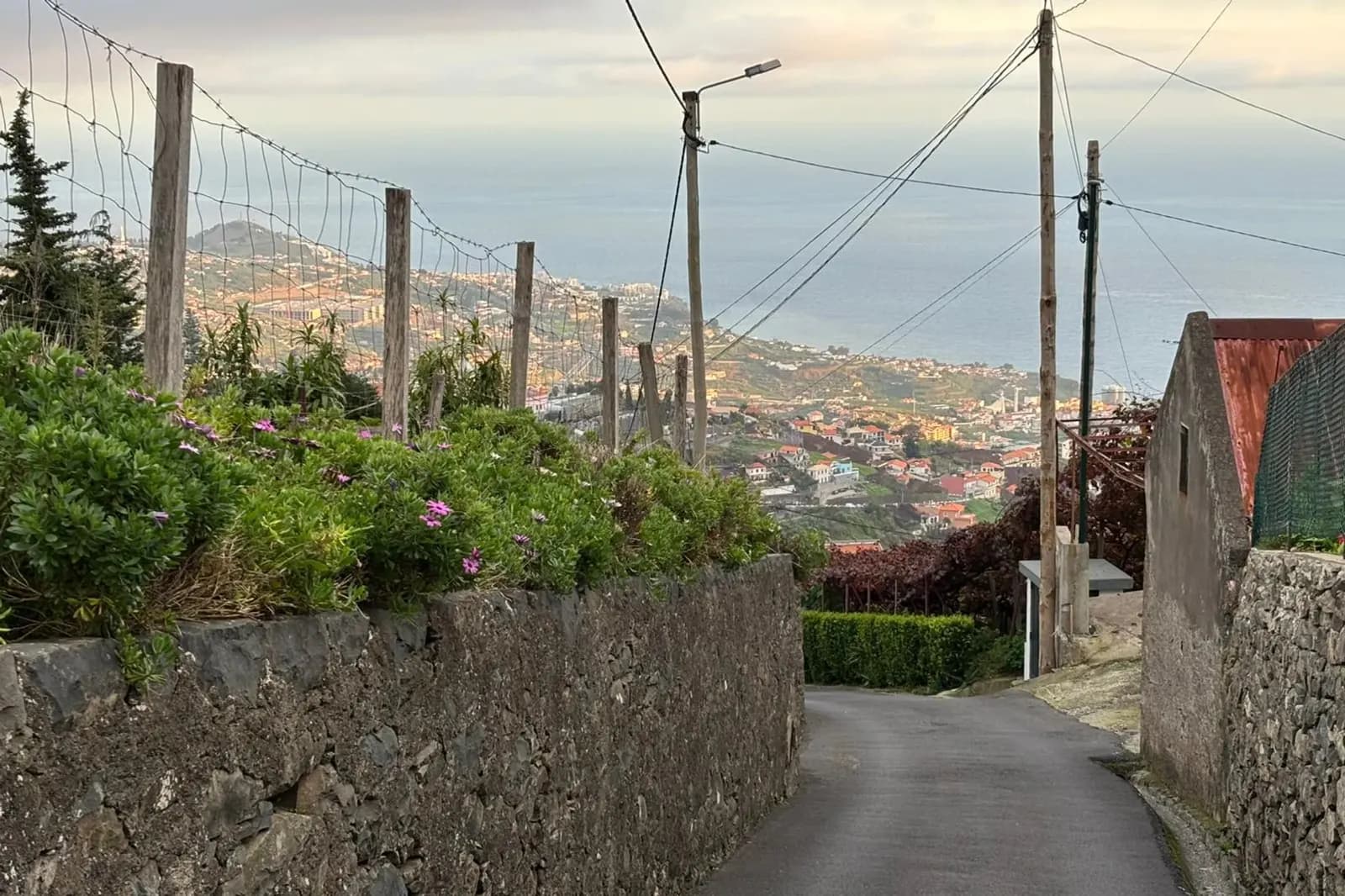 Village lane with flowering walls and a view down to the Funchal coast