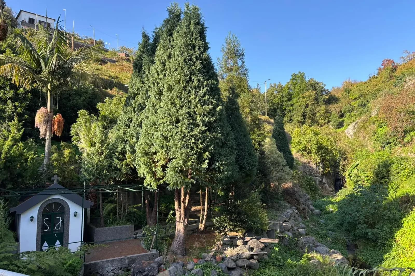 Roadside chapel among tall cypress trees beside a mountain stream