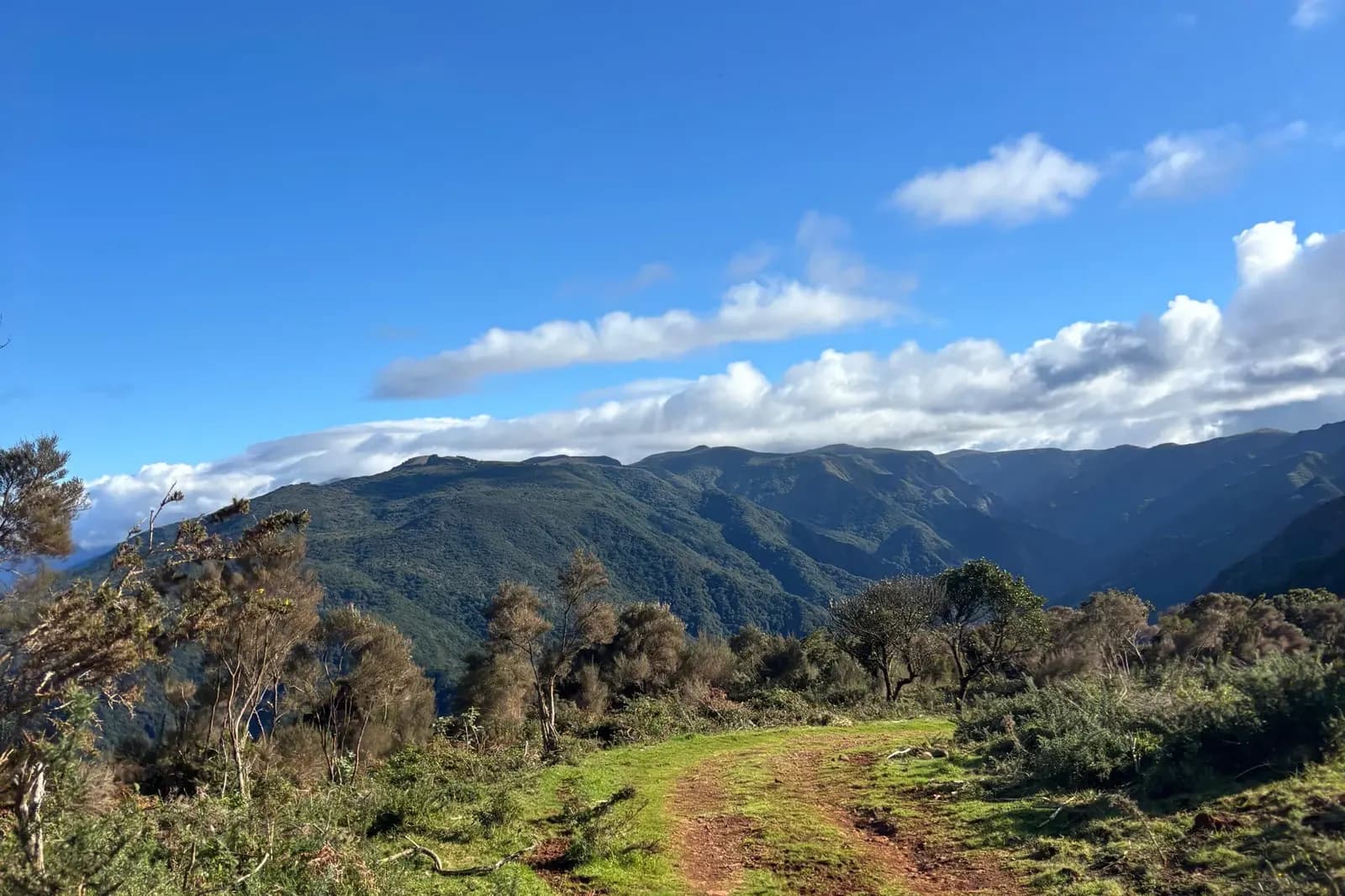 Grassy off-road trail opening to mountain views on the Paul da Serra plateau