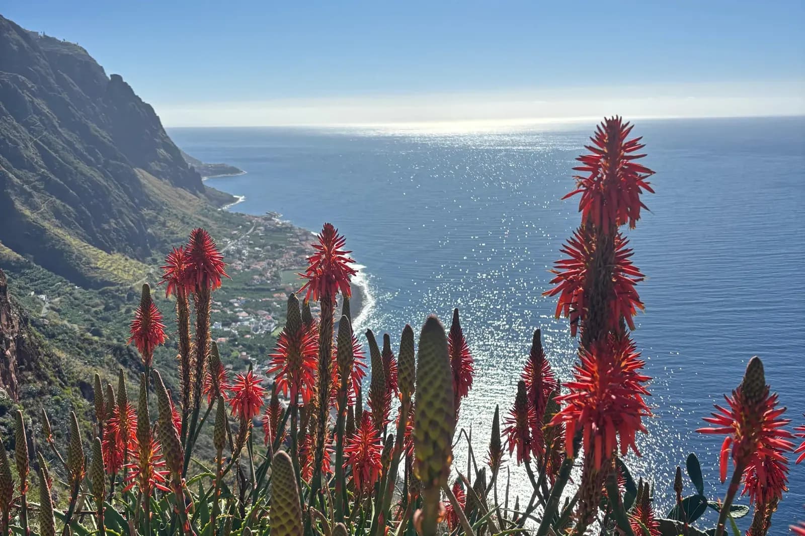 Red aloe blossoms framing the southwest coast high above the ocean