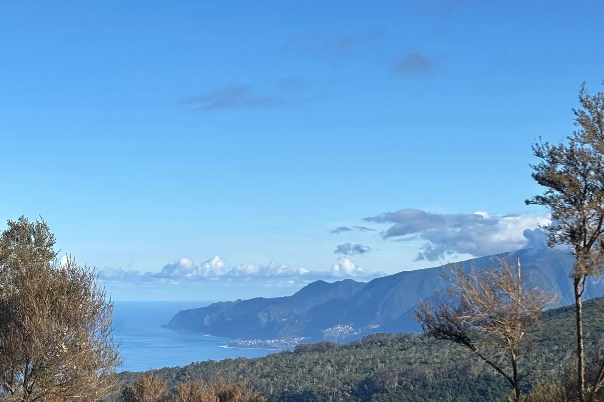 Panoramic view of a forested headland stretching into the Atlantic