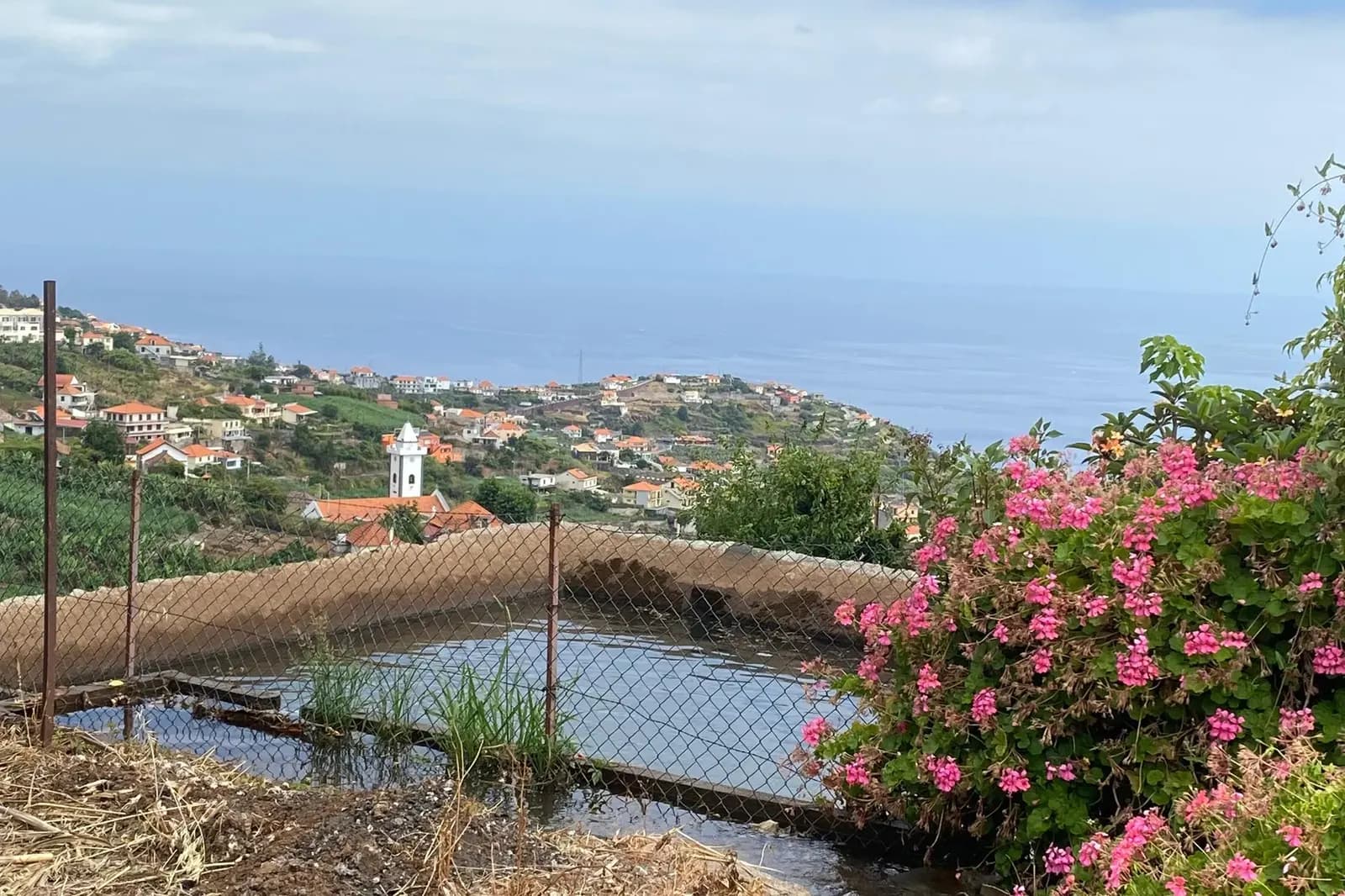 North-coast village and ocean view with pink geraniums in the foreground
